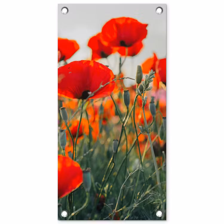 Klaprozen in close-up bij zonsondergang tuinposter los doek klein -3d