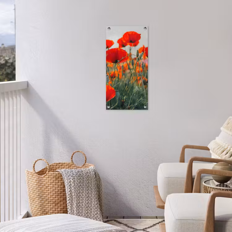 Klaprozen in close-up bij zonsondergang tuinposter los doek klein -sfeer8