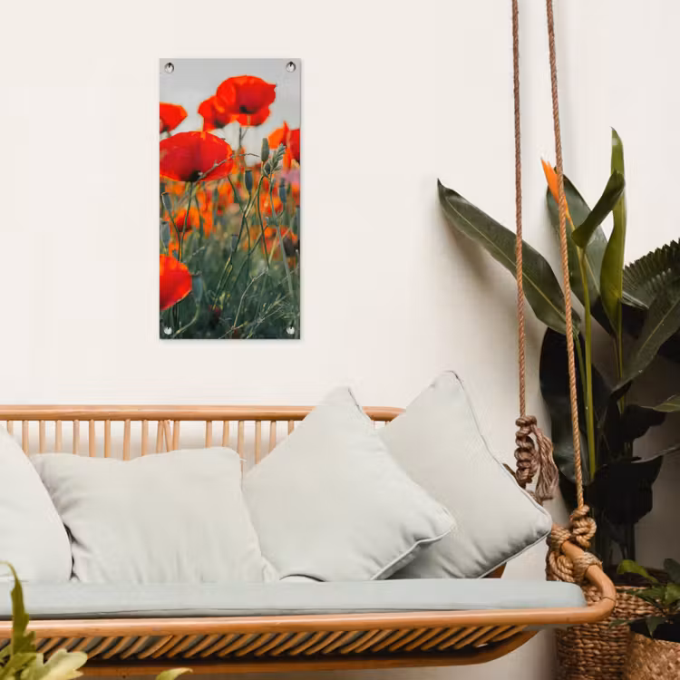 Klaprozen in close-up bij zonsondergang tuinposter los doek klein -sfeer7