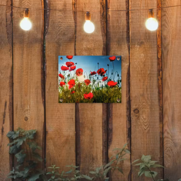 Klaprozen - Toscane - Zon - Rood - Blauw tuinposter los doek klein -sfeer1