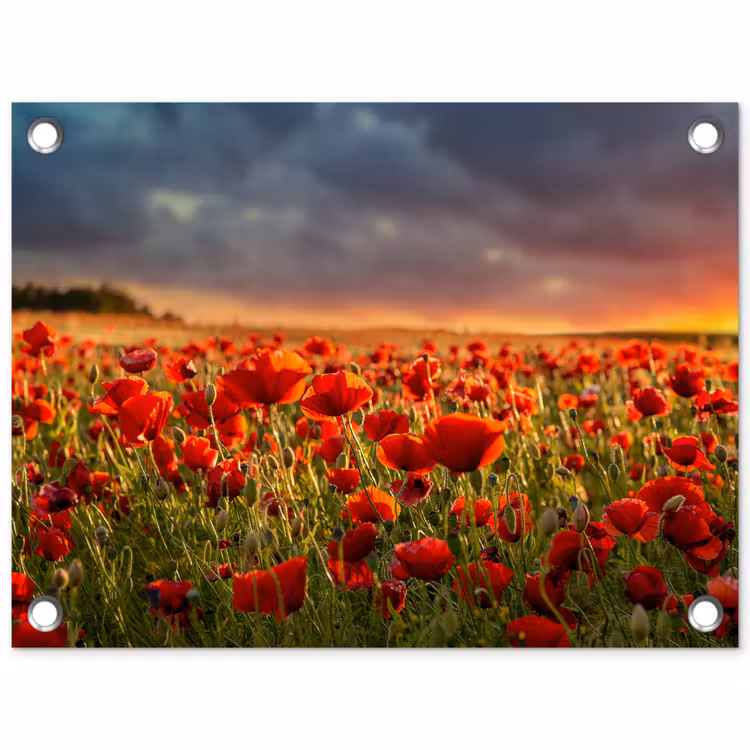 Klaprozenveld bij zonsondergang tuinposter los doek klein -3d