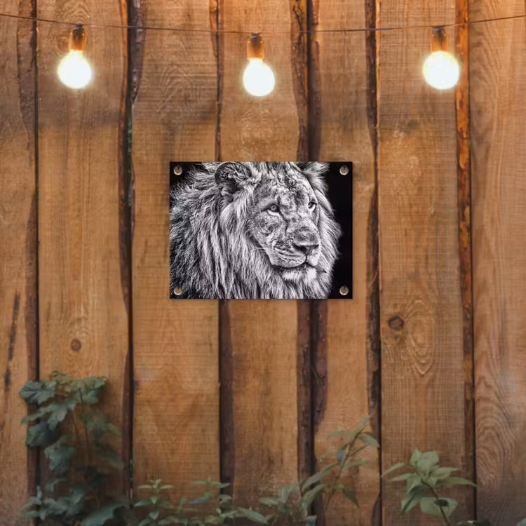 Portret - Leeuw - Zwart wit tuinposter los doek klein -sfeer1