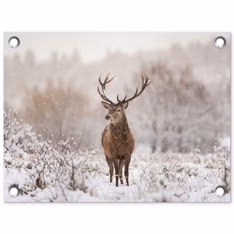 Edelhert - Bos - Sneeuw - Winter - Majestueus tuinposter los doek klein -3d