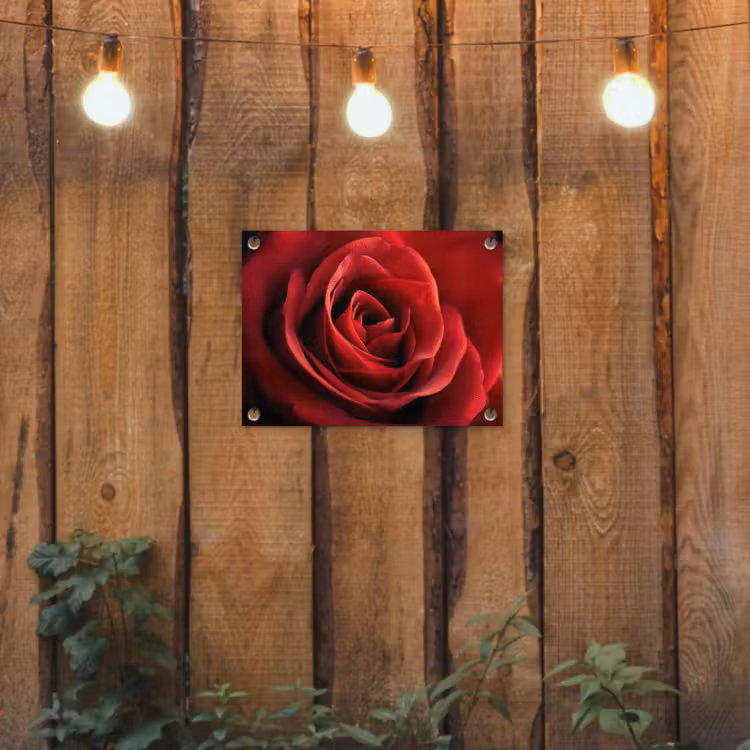 Rood - Roos - Romantisch tuinposter los doek klein -sfeer1
