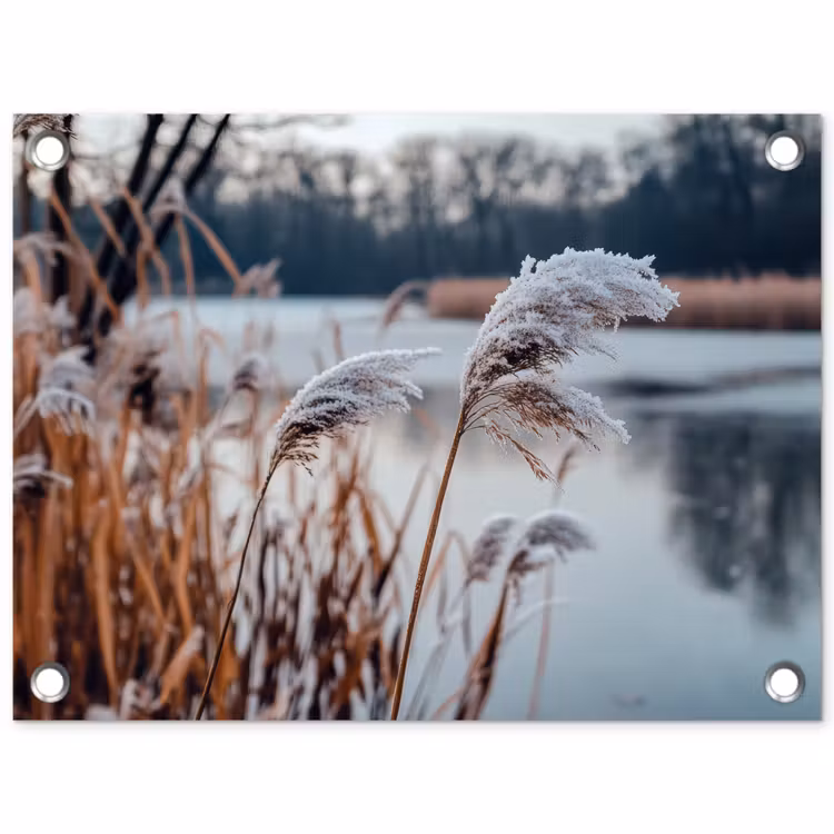 Riet - Gras - Natuur - Winter - Meer tuinposter los doek klein -3d