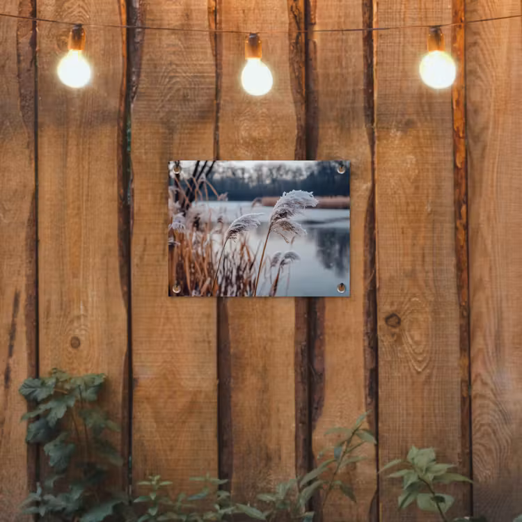Riet - Gras - Natuur - Winter - Meer tuinposter los doek klein -sfeer1