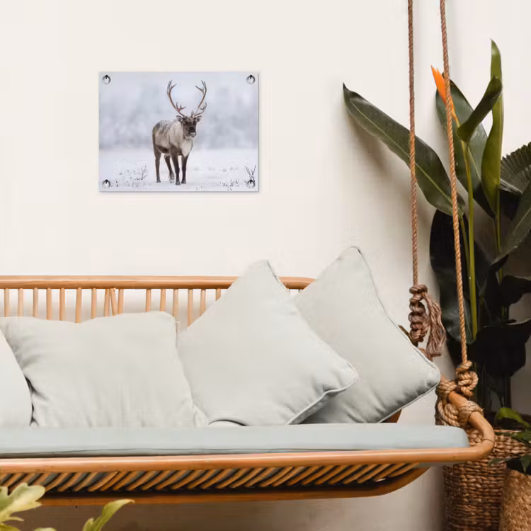 Rendier - Gewei - Toendra - Sneeuw - Wild tuinposter los doek klein -sfeer7