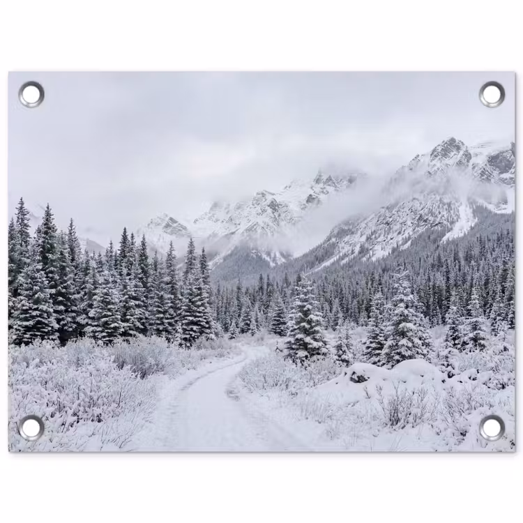 Weg - Bergen - Sneeuw - Naaldbos - Avontuurlijk tuinposter los doek klein -3d