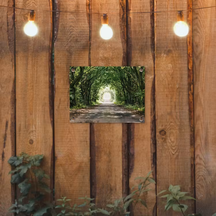 Weg - Bomen - Natuur - Groen tuinposter los doek klein -sfeer1