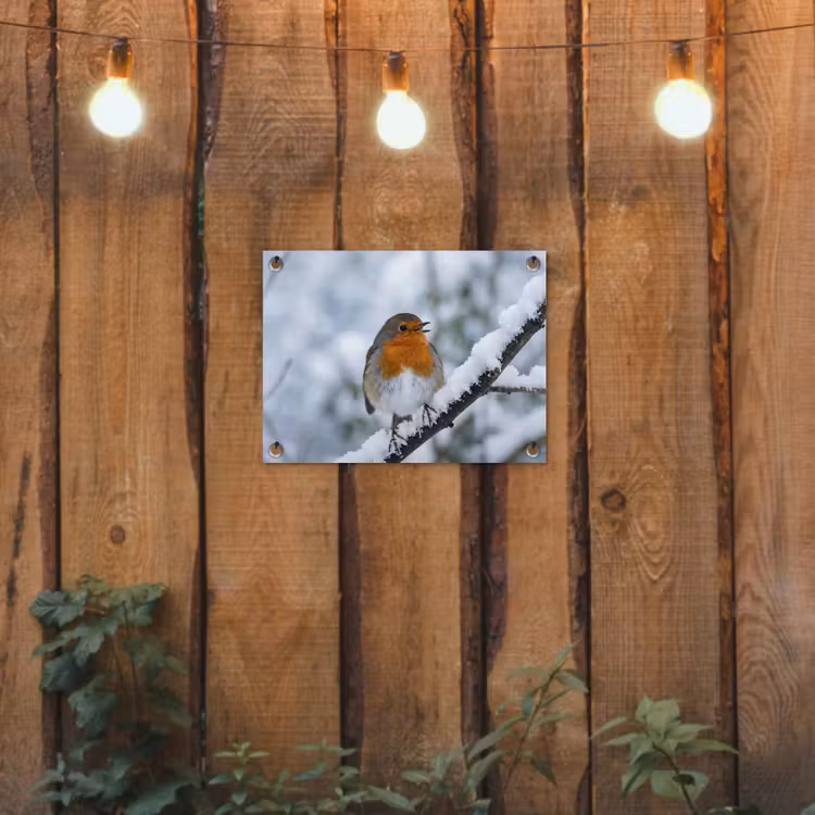 Roodborstje - Tak - Sneeuw - Winter - Levendig tuinposter los doek klein -sfeer1