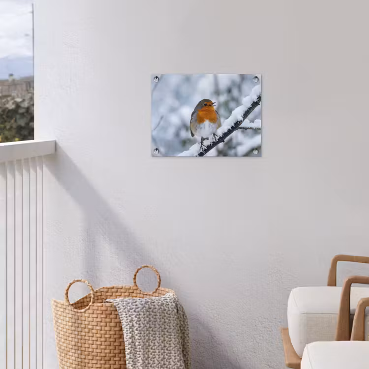 Roodborstje - Tak - Sneeuw - Winter - Levendig tuinposter los doek klein -sfeer8