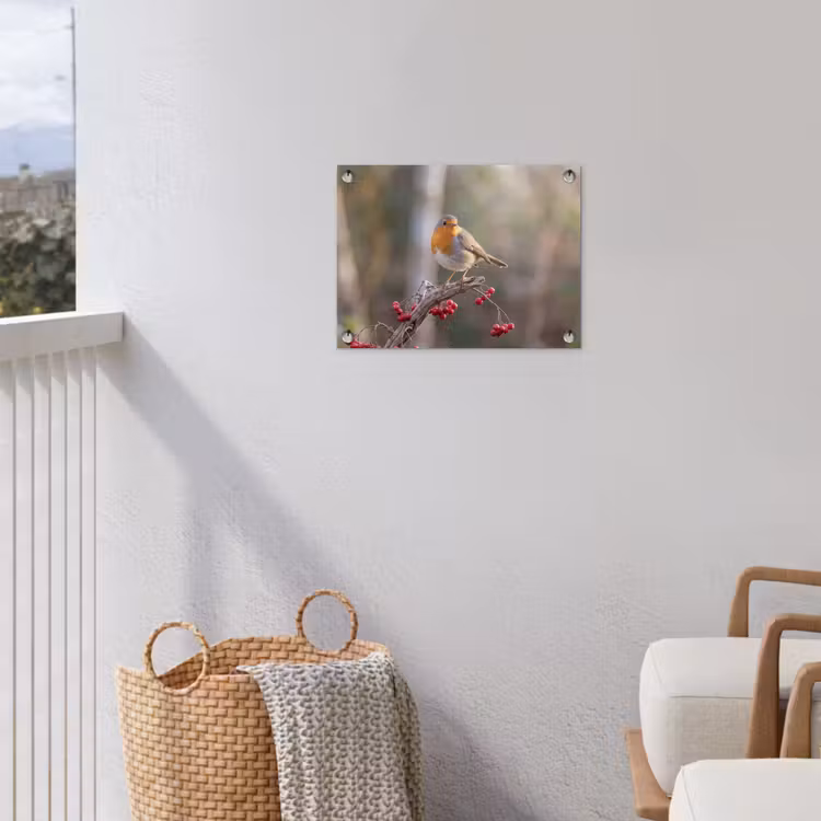 Roodborst - Tak - Bessen - Natuur tuinposter los doek klein -sfeer8