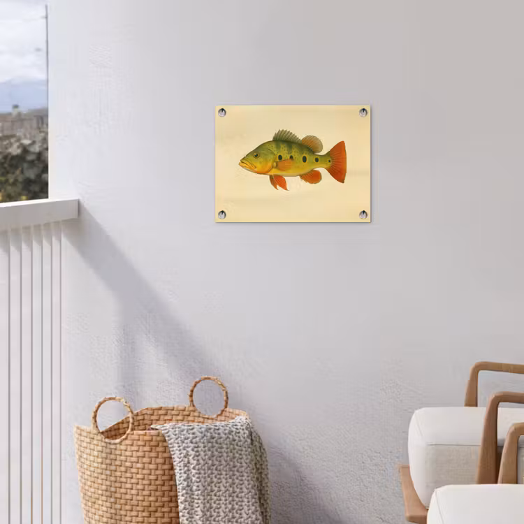 Schubben - Vis - Groen - Illustratie tuinposter los doek klein -sfeer8