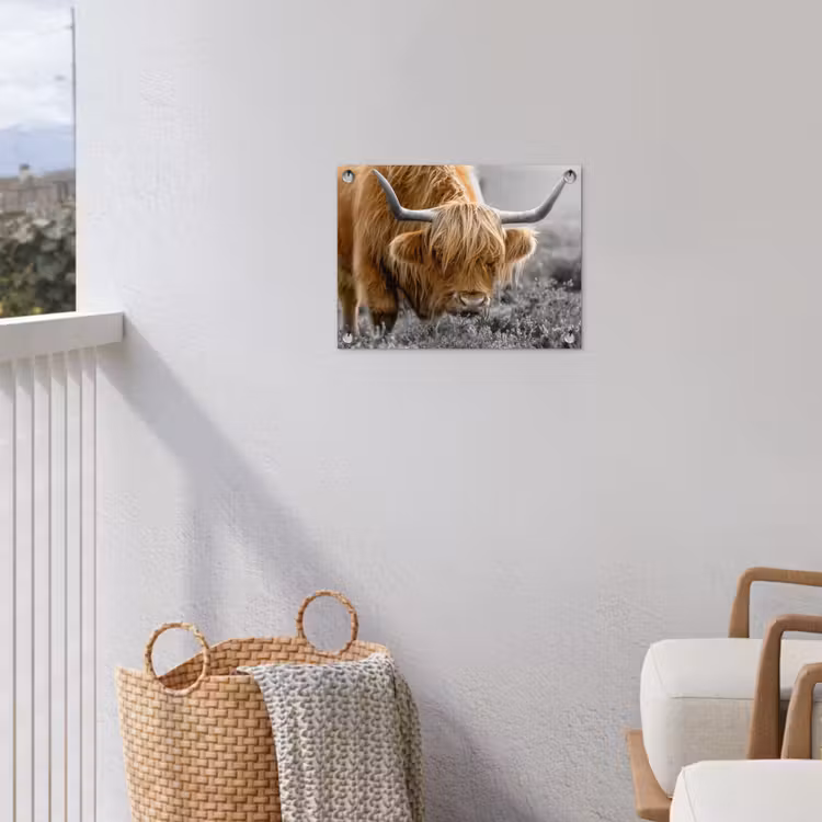 Schotse Hooglander - Dieren - Bruin - Koe - Zwart - Wit - Natuur tuinposter los doek klein -sfeer8