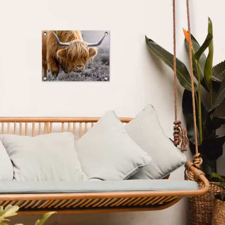Schotse Hooglander - Dieren - Bruin - Koe - Zwart - Wit - Natuur tuinposter los doek klein -sfeer7
