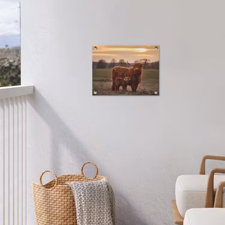 Schotse hooglander - Dieren - Landschap - Zonsondergang - Koe tuinposter los doek klein -sfeer8