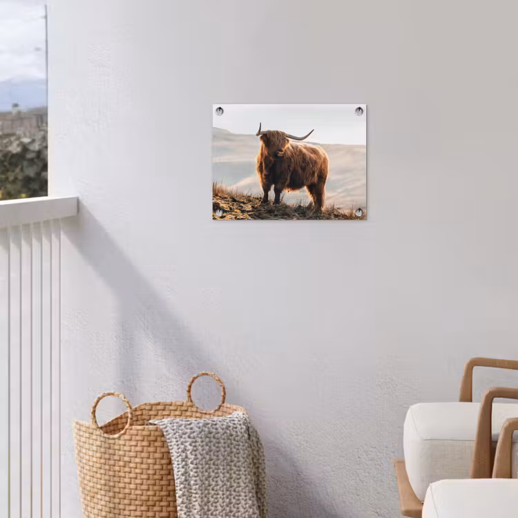 Schotse hooglander - Dieren - Landelijk - Landschap - Koe - Natuur tuinposter los doek klein -sfeer8