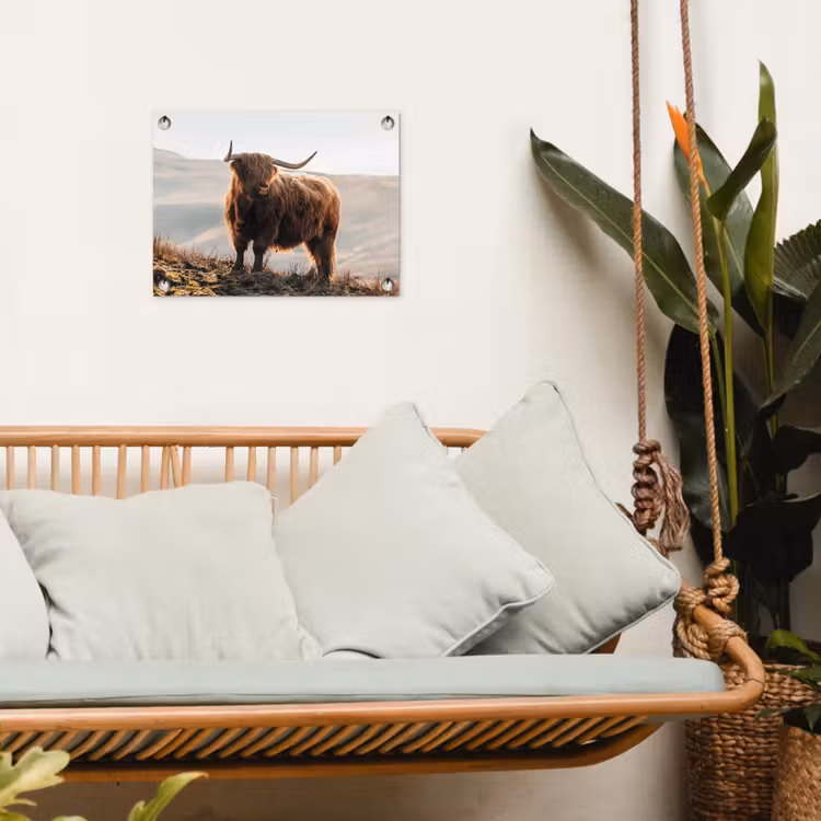 Schotse hooglander - Dieren - Landelijk - Landschap - Koe - Natuur tuinposter los doek klein -sfeer7