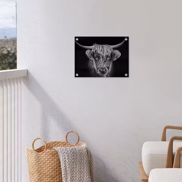 Schotse hooglander - Zwart - Koe - Dieren tuinposter los doek klein -sfeer8