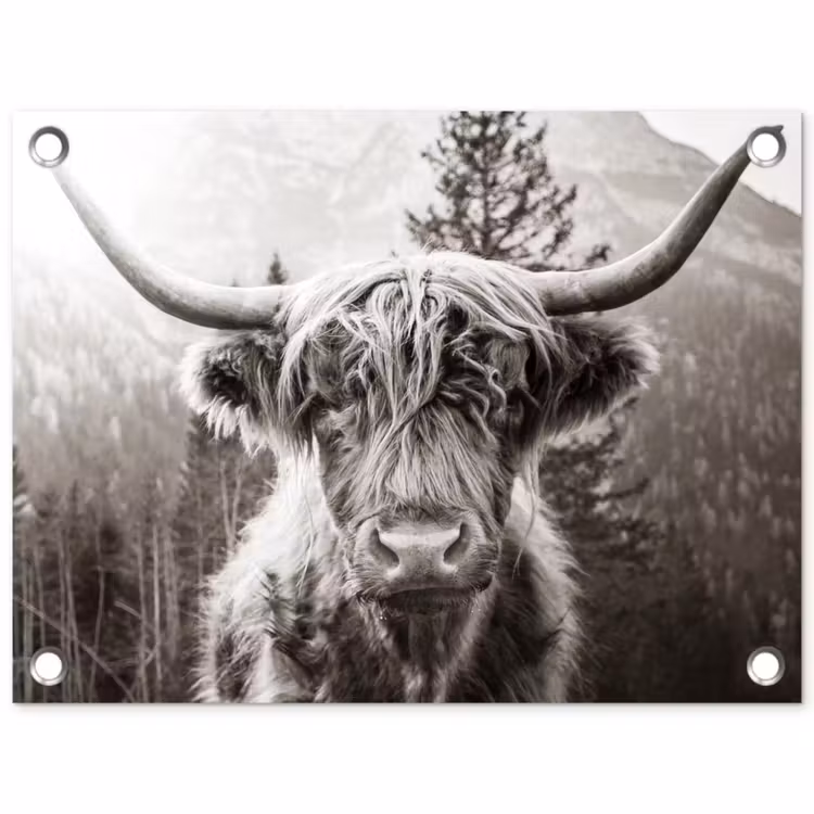 Schotse hooglander - Koe - Dieren - Zwart - Wit tuinposter los doek klein -3d