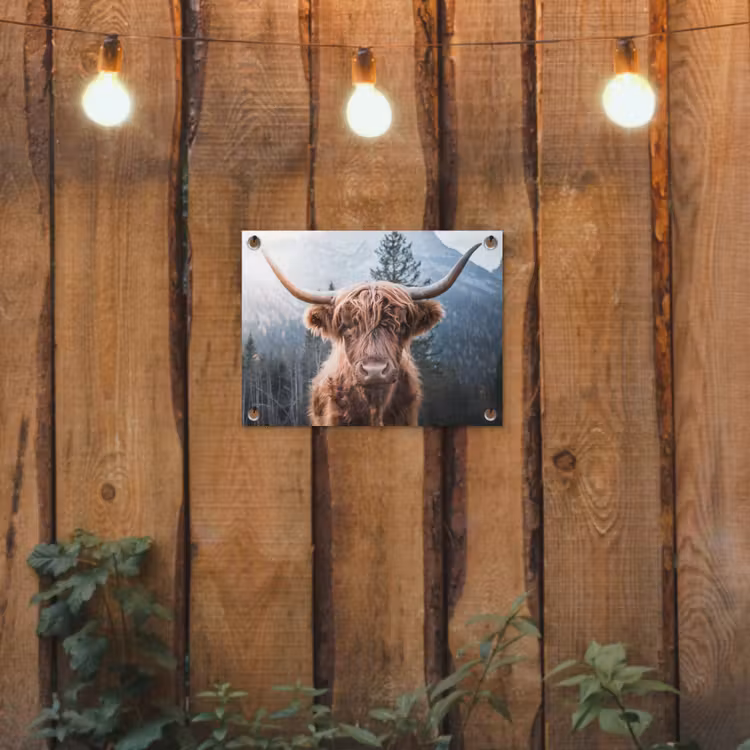 Schotse hooglander - Koe - Dieren - Berg - Natuur tuinposter los doek klein -sfeer1