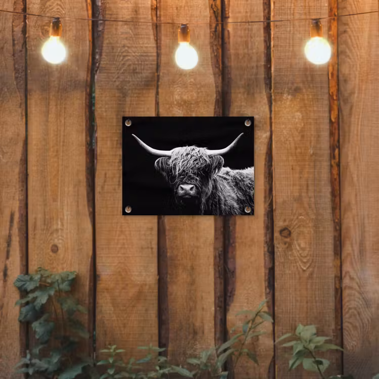 Schotse Hooglander - Koe - Zwart - Wit - Dieren tuinposter los doek klein -sfeer1