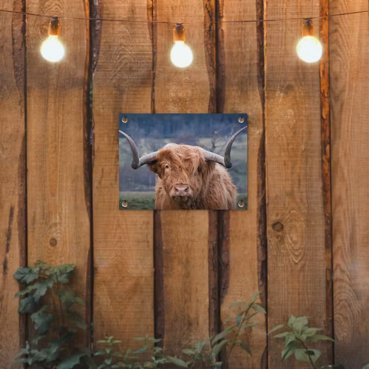 Schotse Hooglander - Koeienkop - Landschap - Natuur - Koe tuinposter los doek klein -sfeer1