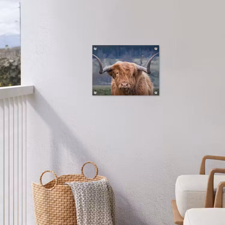 Schotse Hooglander - Koeienkop - Landschap - Natuur - Koe tuinposter los doek klein -sfeer8