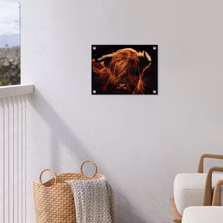 Schotse hooglander - Koe - Hoorns - Portret - Dieren tuinposter los doek klein -sfeer8