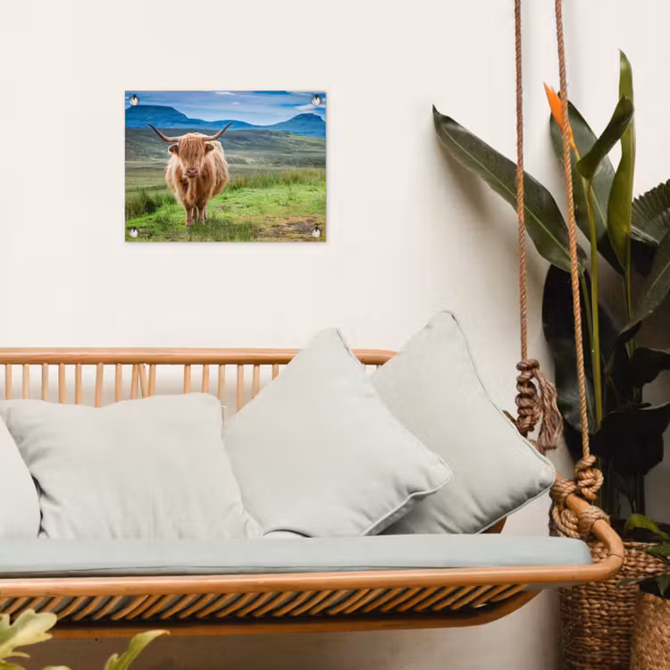 Schotse hooglander - Koe - Natuur - Berg - Gras tuinposter los doek klein -sfeer7