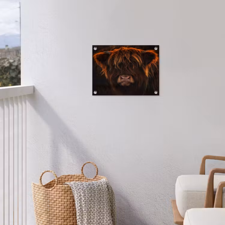 Schotse Hooglander - Koe - Portret - Dieren tuinposter los doek klein -sfeer8
