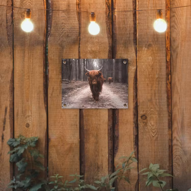Schotse hooglander - Bos - Koe - Dieren - Natuur tuinposter los doek klein -sfeer1
