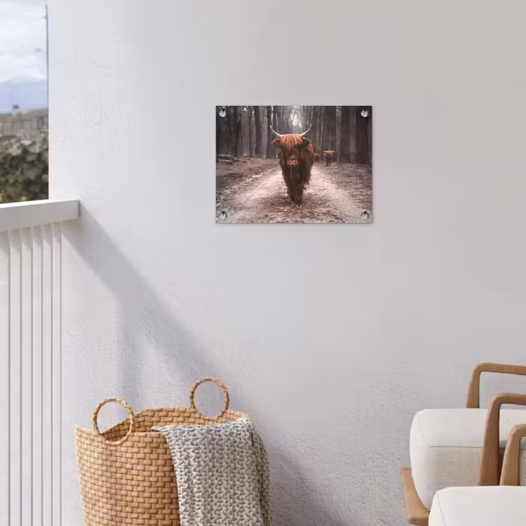 Schotse hooglander - Bos - Koe - Dieren - Natuur tuinposter los doek klein -sfeer8