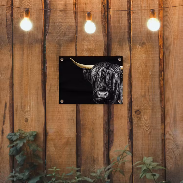 Schotse hooglander - Goud - Vacht - Dieren - Koe tuinposter los doek klein -sfeer1