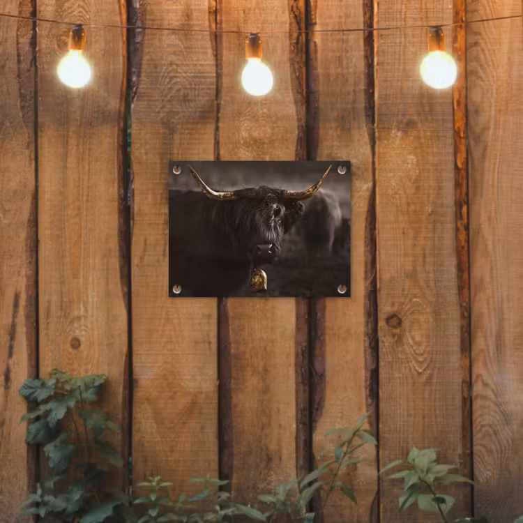 Schotse hooglander - Goud - Koebel - Hoorns - Dieren tuinposter los doek klein -sfeer1
