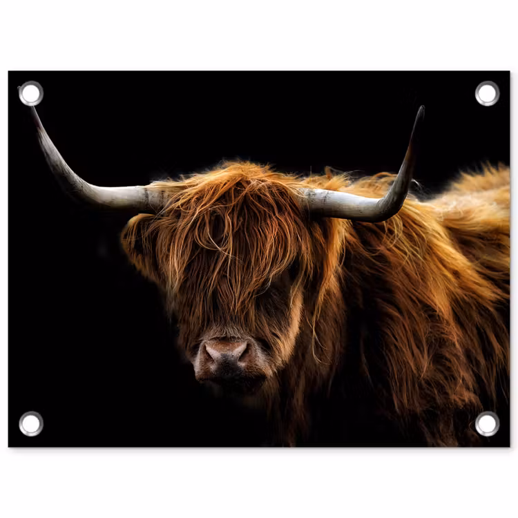 Schotse Hooglander - Horens - Zwart - Dieren - Natuur - Wild - Koe tuinposter los doek klein -3d