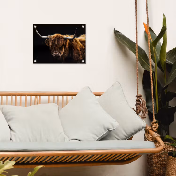 Schotse Hooglander - Horens - Zwart - Dieren - Natuur - Wild - Koe tuinposter los doek klein -sfeer7