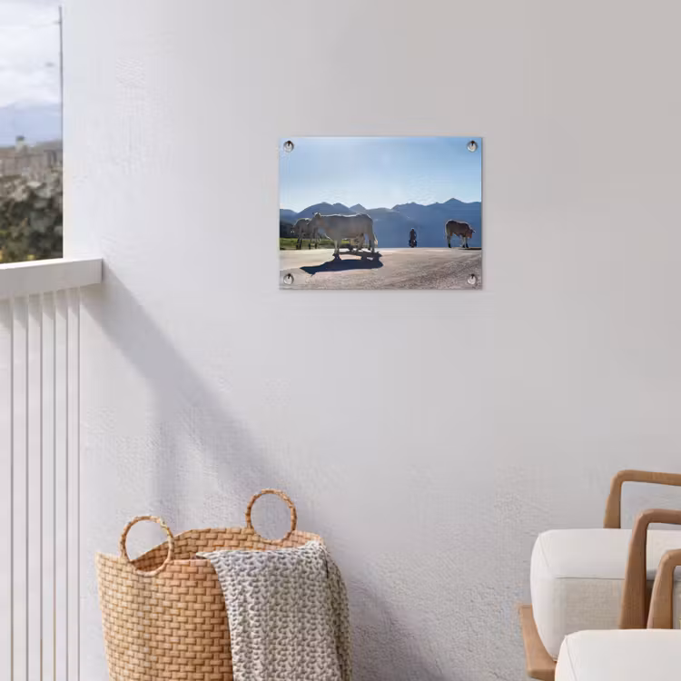 Schotse hooglander - Licht - Berg - Natuur tuinposter los doek klein -sfeer8
