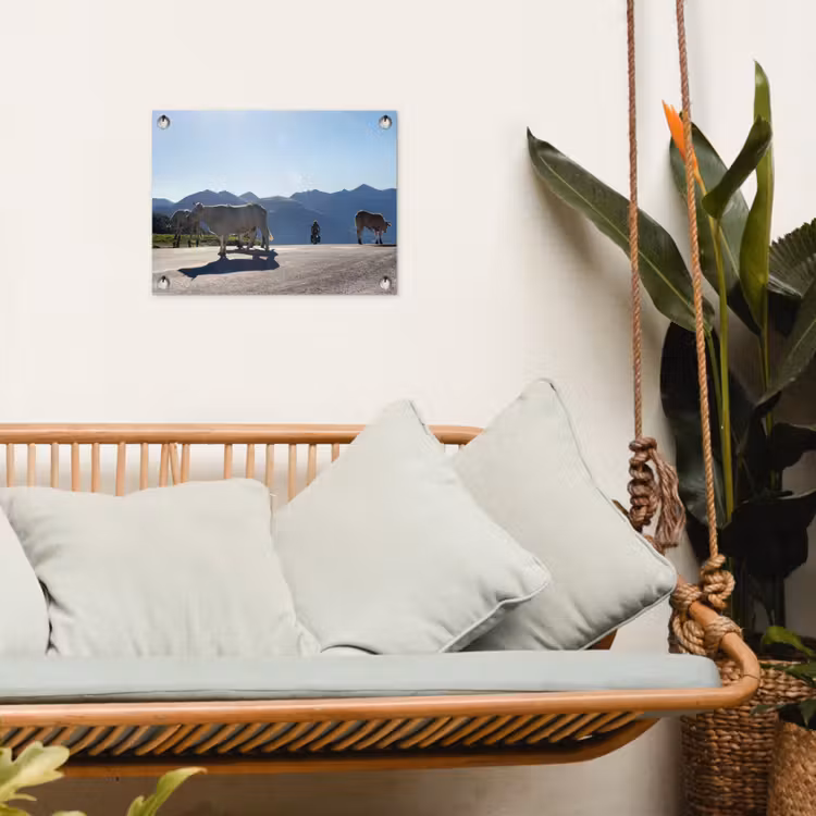 Schotse hooglander - Licht - Berg - Natuur tuinposter los doek klein -sfeer7