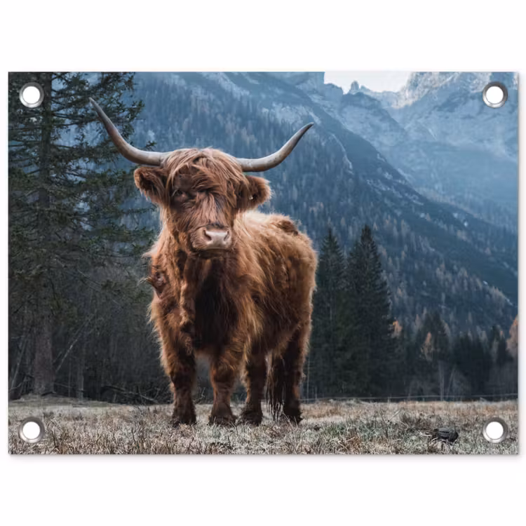 Schotse hooglander - Berg - Landschap - Bomen - Koe - Natuur tuinposter los doek klein -3d
