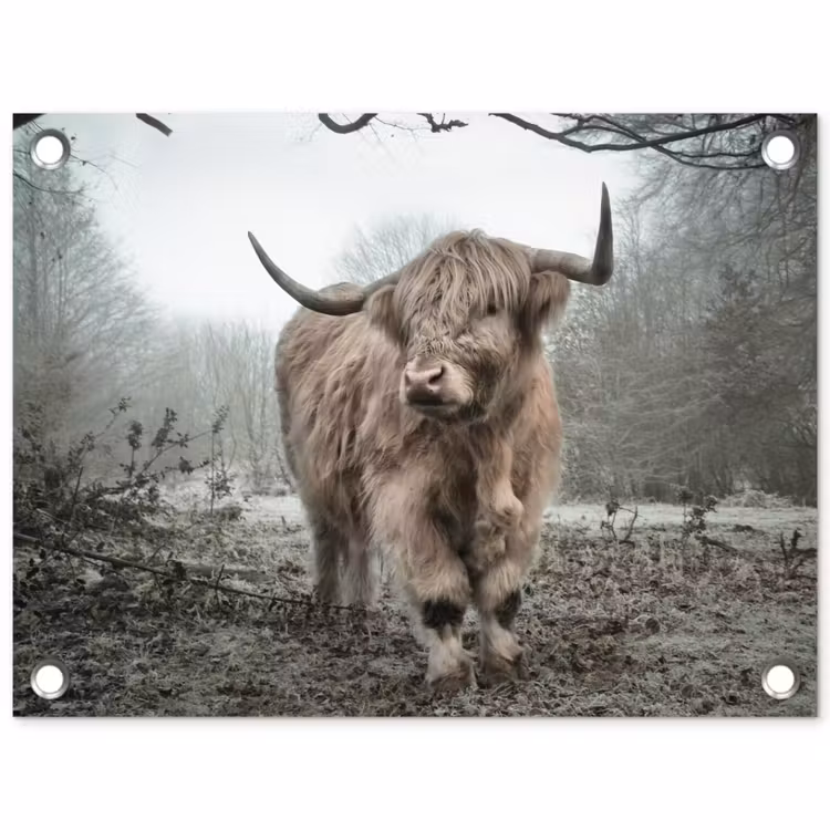 Schotse hooglander - Natuur - Herfst - Dieren - Wild - Bos tuinposter los doek klein -3d