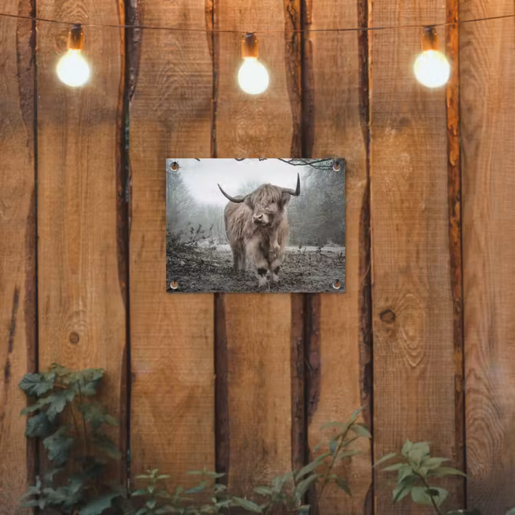 Schotse hooglander - Natuur - Herfst - Dieren - Wild - Bos tuinposter los doek klein -sfeer1