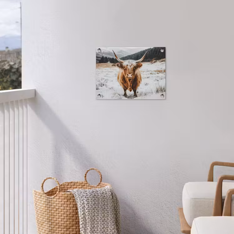 Schotse Hooglander - Sneeuw - Winter - Dieren tuinposter los doek klein -sfeer8
