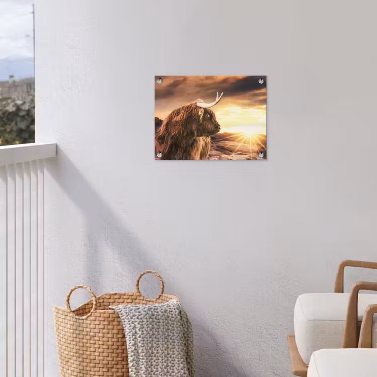 Schotse hooglander - Zon - Horizon - Koe - Dieren tuinposter los doek klein -sfeer8