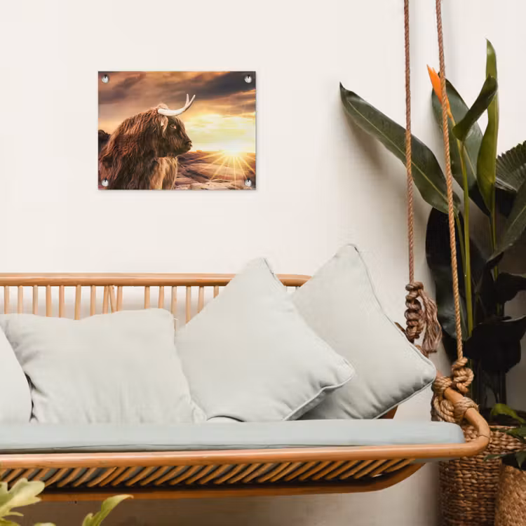 Schotse hooglander - Zon - Horizon - Koe - Dieren tuinposter los doek klein -sfeer7