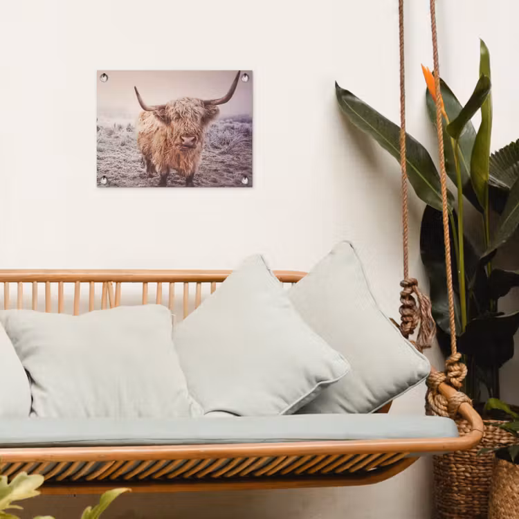 Schotse hooglanders - Licht - Lucht - Natuur tuinposter los doek klein -sfeer7