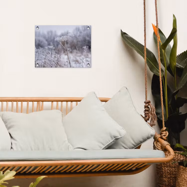 Schermbloem - Rijp - Kristallen - Winter - Delicaat tuinposter los doek klein -sfeer7