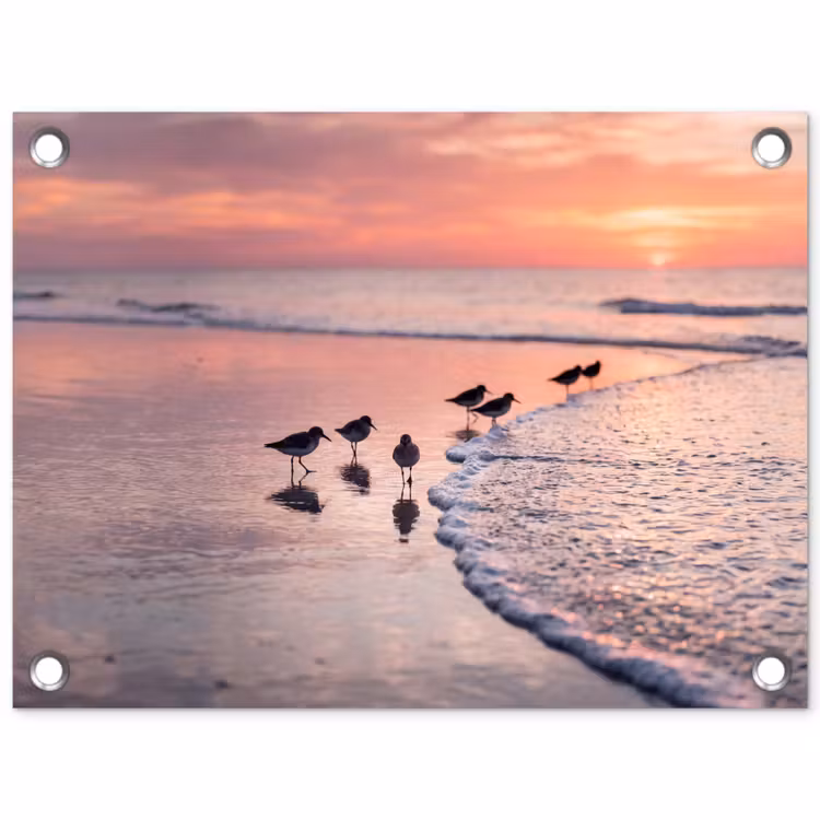 Meeuwen - Strand - Zee - Roze tuinposter los doek klein -3d