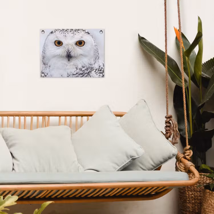 Sneeuwuil - Oog - Wildlife - Wit tuinposter los doek klein -sfeer7