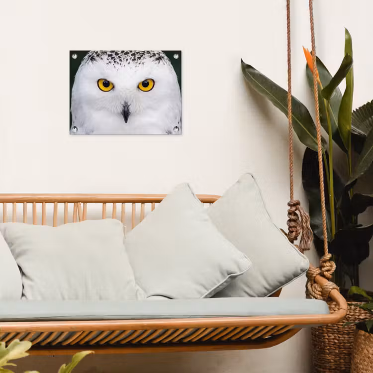 Sneeuwuil - Portret - Geel tuinposter los doek klein -sfeer7